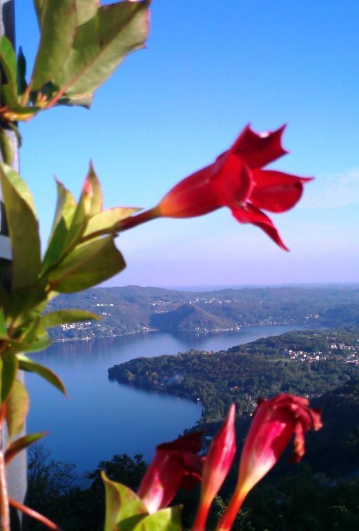 Hotel Panoramico Lago D'Orta (Adults Only) 마돈나 델 사소 외부 사진